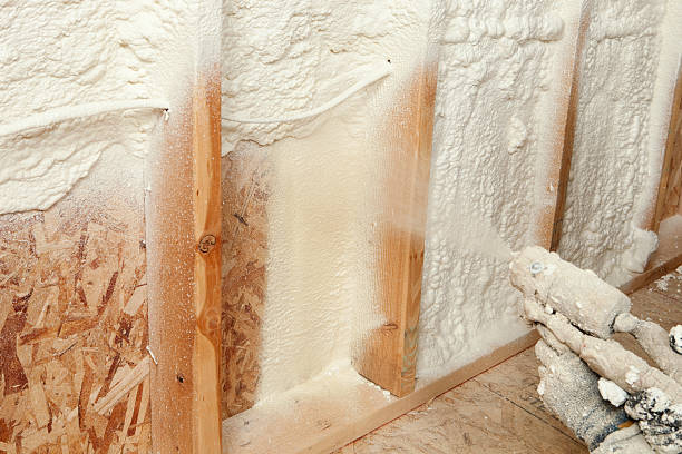 Best Spray Foam Insulation  in Wellman, IA